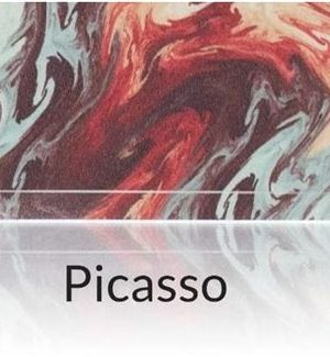 FV Skin For Caliburn - Picasso