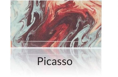 FV Skin For Caliburn – Picasso,