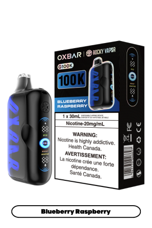 blueberry raspberry 3cf6bf70 9a14 4d3a 8db2 fd16a00e6ea6 1.png