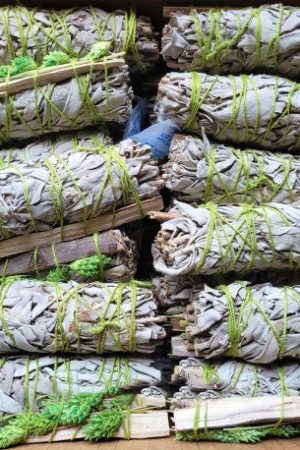white sage phalarismastic stick 4 40 pk 366443cb cc7b 4051 9bd6 4893b2779386.jpg