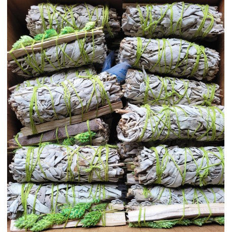 white sage phalarismastic stick 4 40 pk 366443cb cc7b 4051 9bd6 4893b2779386.jpg white sage phalarismastic stick 4 40 pk 366443cb cc7b 4051 9bd6 4893b2779386.jpg