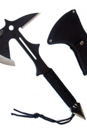6784.jpg