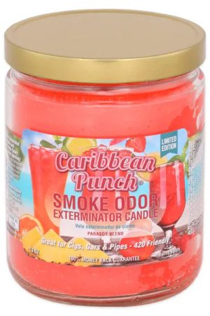 caribbeanpunch 13ozcandle 600x b9c34616 37a6 4abd b642 a3c0f2e7f08d.jpg