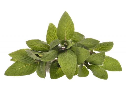 Goloka – Sage Natural & Undiluted Essential Oil 10ml