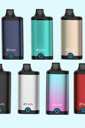 ziva4 869x869 9fda9095 78cd 4115 b3ae 6b2f68623ad1
