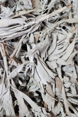 california white sage clusters 6lb