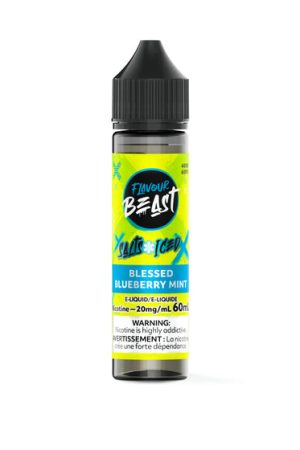 flavourbeast el 60ml blessedblueberrymint canada